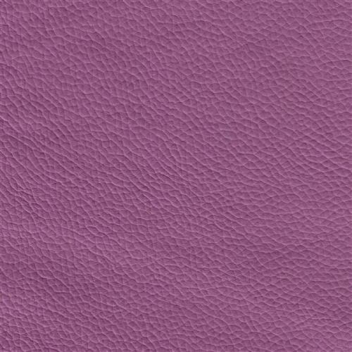Colore violett