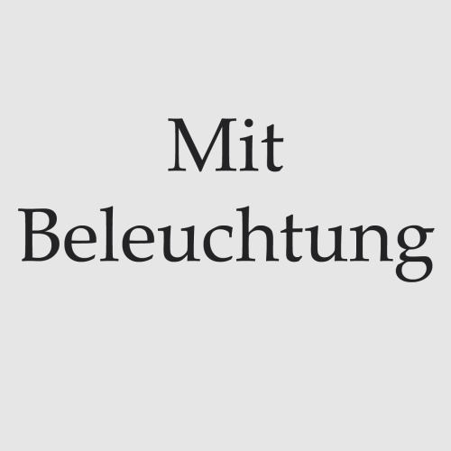 Mit Beleuchtung 2x LED